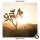 Жүктеу Mike Candys - Begin Again