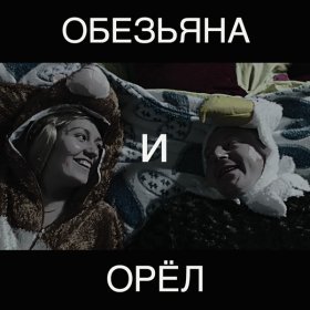 Ән  Ленинград - Обезьяна и орёл
