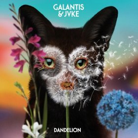 Песня  Galantis, JVKE - Dandelion
